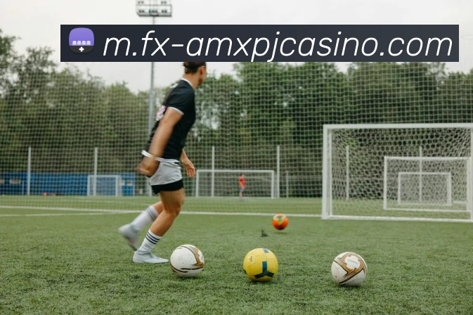 澳门新葡京娱乐平台生态图